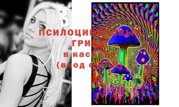 МДПВ Беломорск