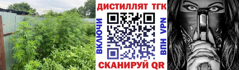 Дистиллят ТГК концентрат  Гаджиево 