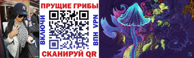 Галлюциногенные грибы Psilocybine cubensis  Гаджиево 